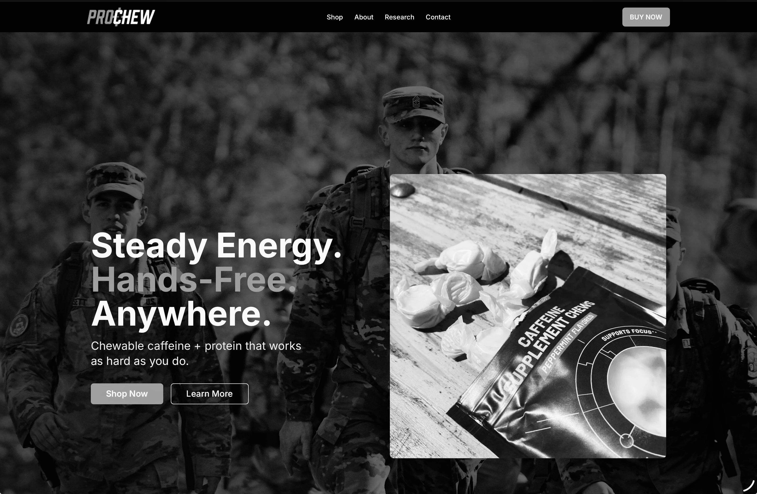 Screenshot of ProChews project