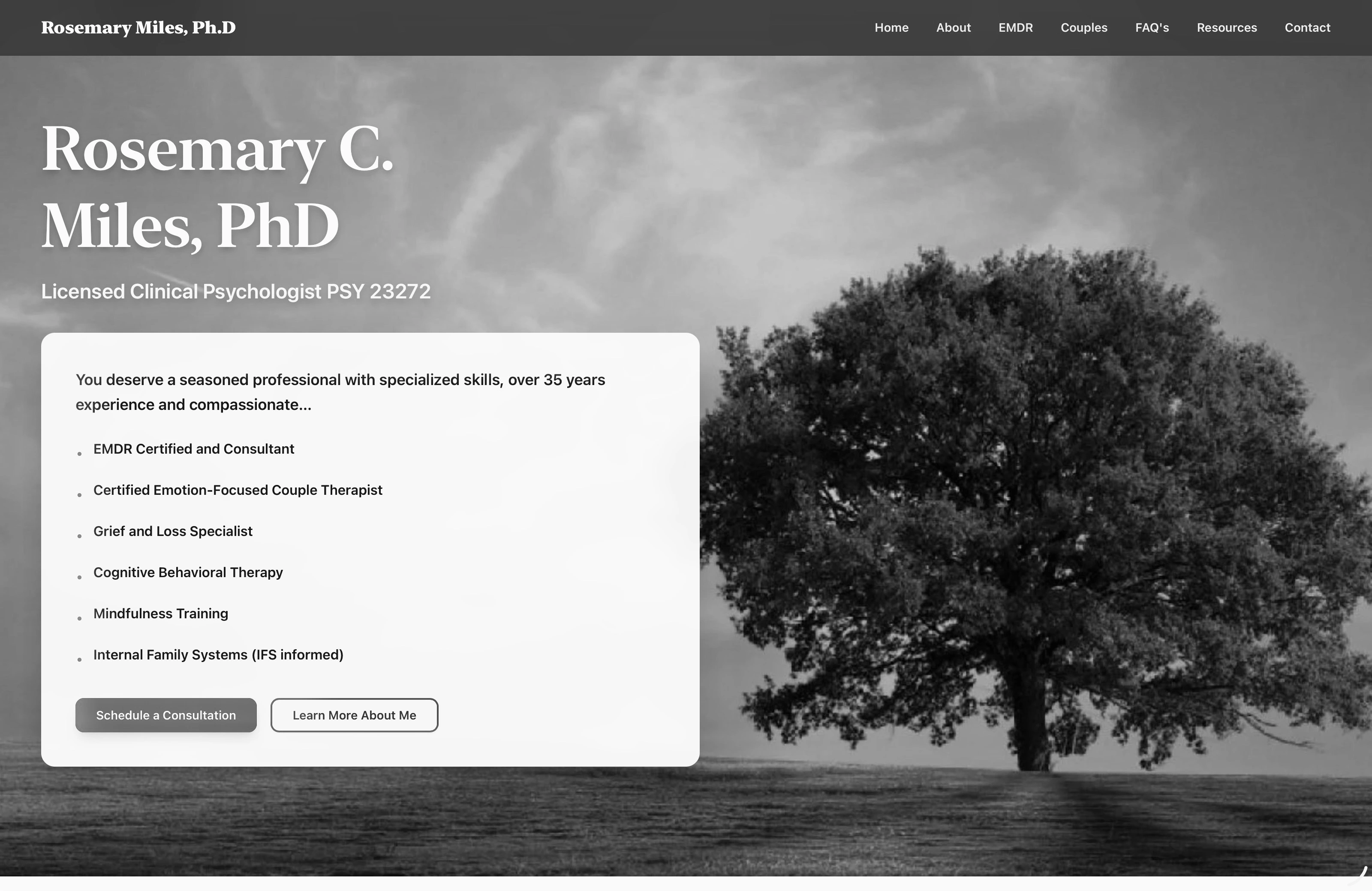 Screenshot of Rosemary Miles PhD project