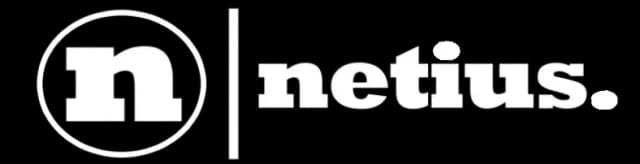 Netius Logo