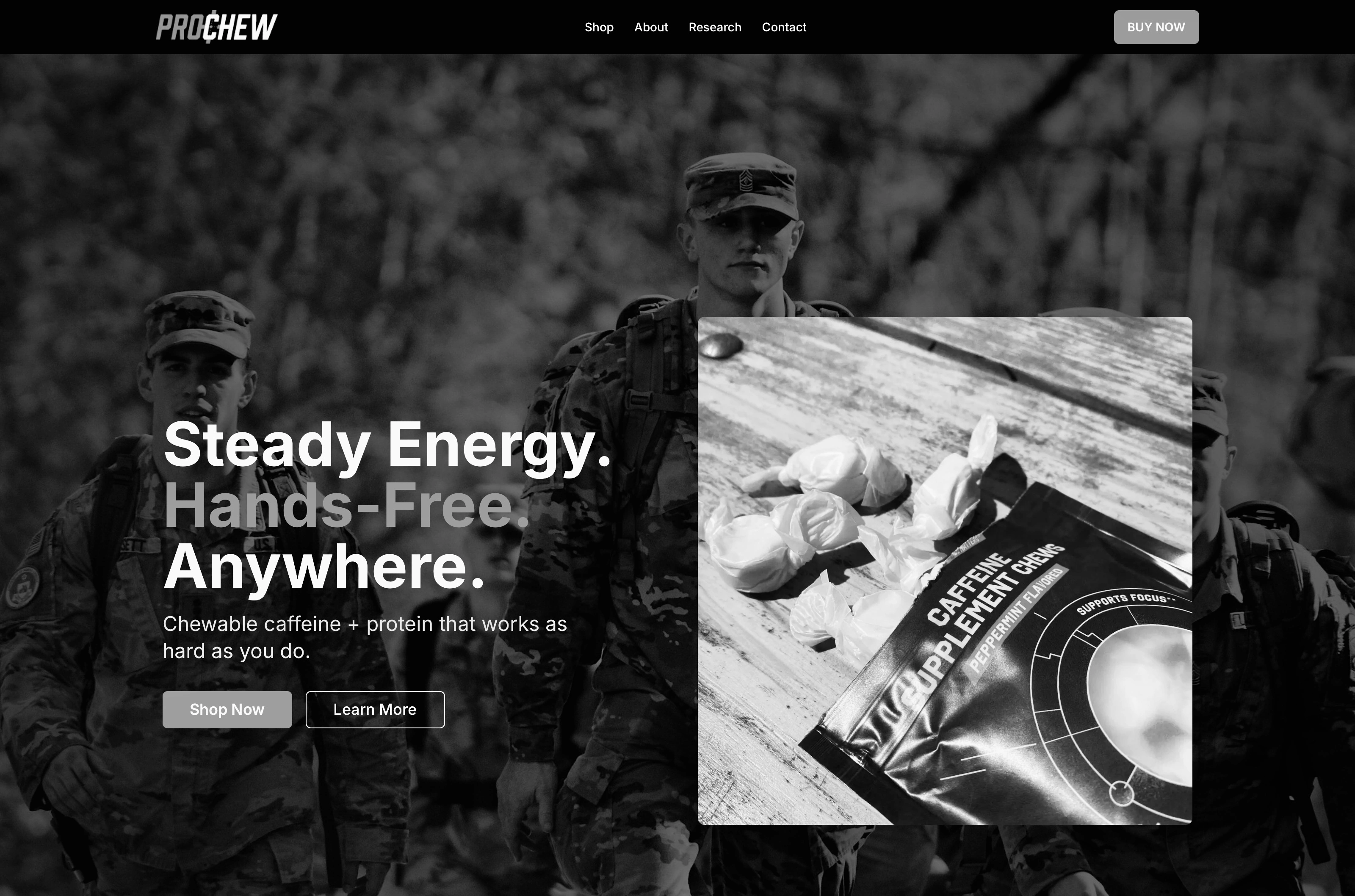 Screenshot of ProChews project